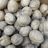 Wangqinyuan Shaanxi Northern Walnut Original Flavor 1kg Crispy Thin-Skinned Walnuts Wholesale New Year Gift Pack Agricultural Products Direct from Manufacturer