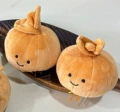Onion