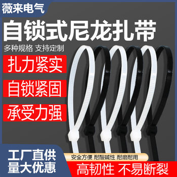 Nylon Cable Ties 100 Pieces Packaging 3*4*5*8* Various Specifications Self-Locking Cable Ties Black and White Manufacturer Wholesale