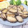 Frozen Blanching 12 Head Abalone Meat Volume Wholesale Hotel Catering Banquet Convenient Ingredients
