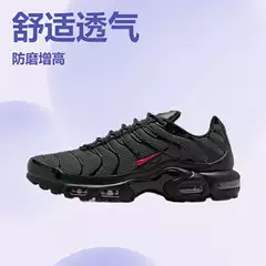 Air Max TN Full Palm Air Cushion Shoes 40-46 Cross-border Foreign Trade Men's Shoes Couple Running Shoes 017 Recruiting Foreign Trade