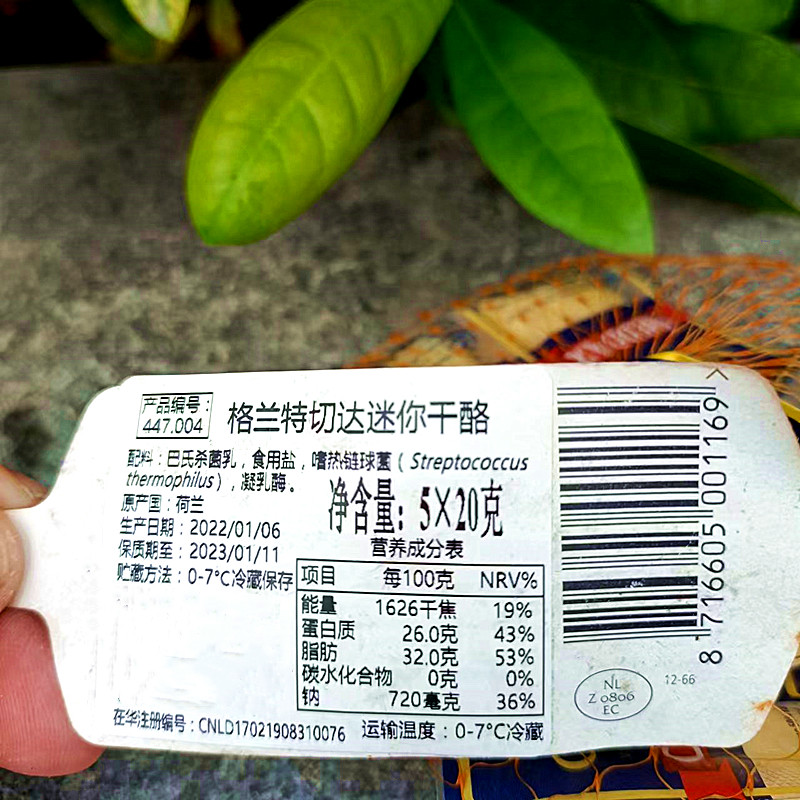 Imported Babybel Cheddar Cheese Original Flavor High Calcium Cheese Babybel Cheeses Others