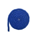 Royal blue thick hemp rope (no head) + royal blue semi-circular shoelaces