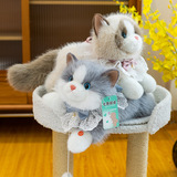 Кукла-маппет cat doll имитация плюшевой игрушки cat doll будет называться милый домашний котенок ragdoll girl gift
