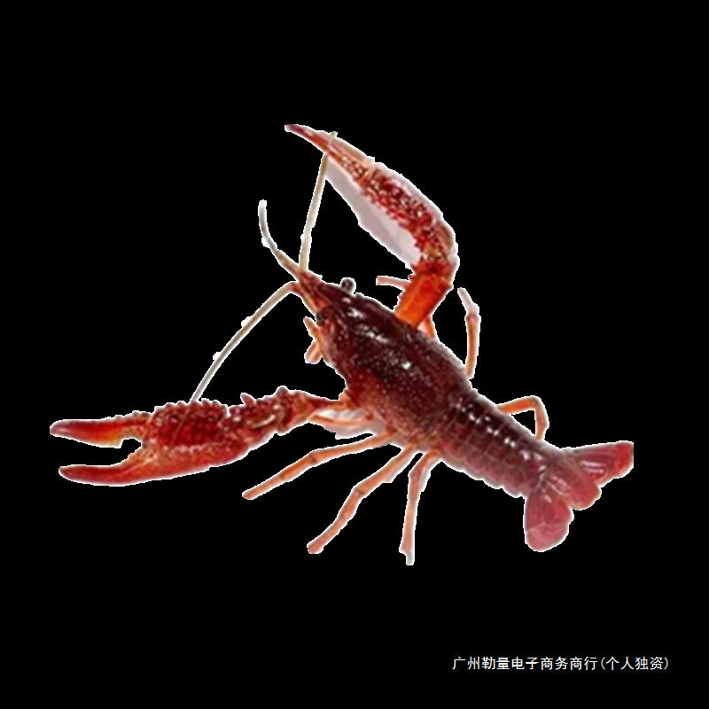 Fresh Crayfish Aquatic Products 5 Pounds 567 Yuan Huaian Jinhu Clear Water Live Shrimp Rice Field Freshwater Shrimp Extra Large Lobster Seafood