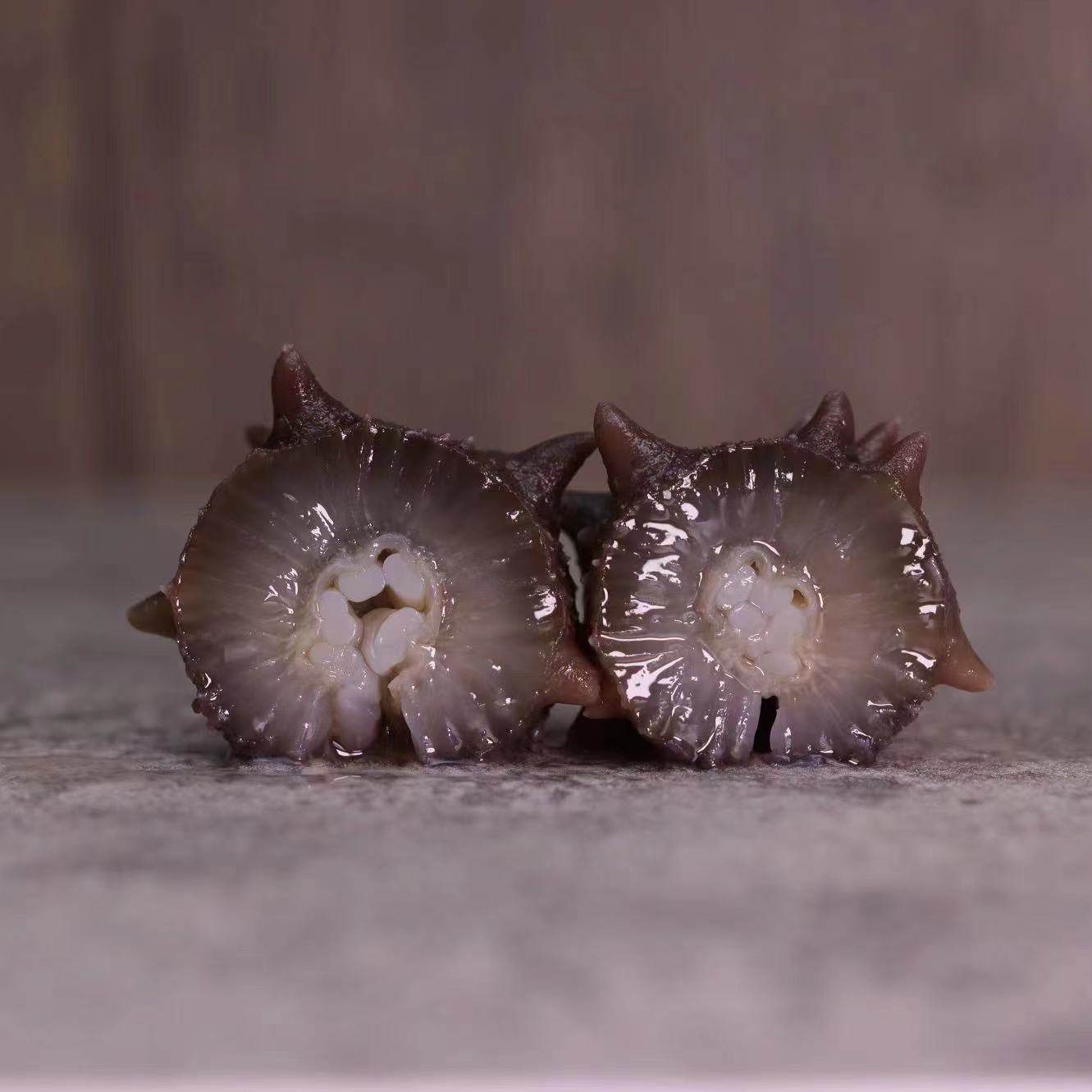 Dalian Deep-Sea Farmed Sea Cucumber 13~16 Heads 500g High-Pressure Ready-To-Eat Individually Packaged Free Shipping Wild Ready-To-Eat Sea Cucumber