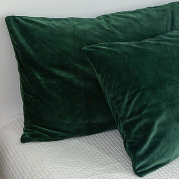 Cross-Border Crystal Velvet Pillowcases, a Pair of Double Autumn and Winter Velvet Pillowcases, Coral Velvet Bedding, Amazon Pillowcases