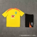 2526 brazil yellow