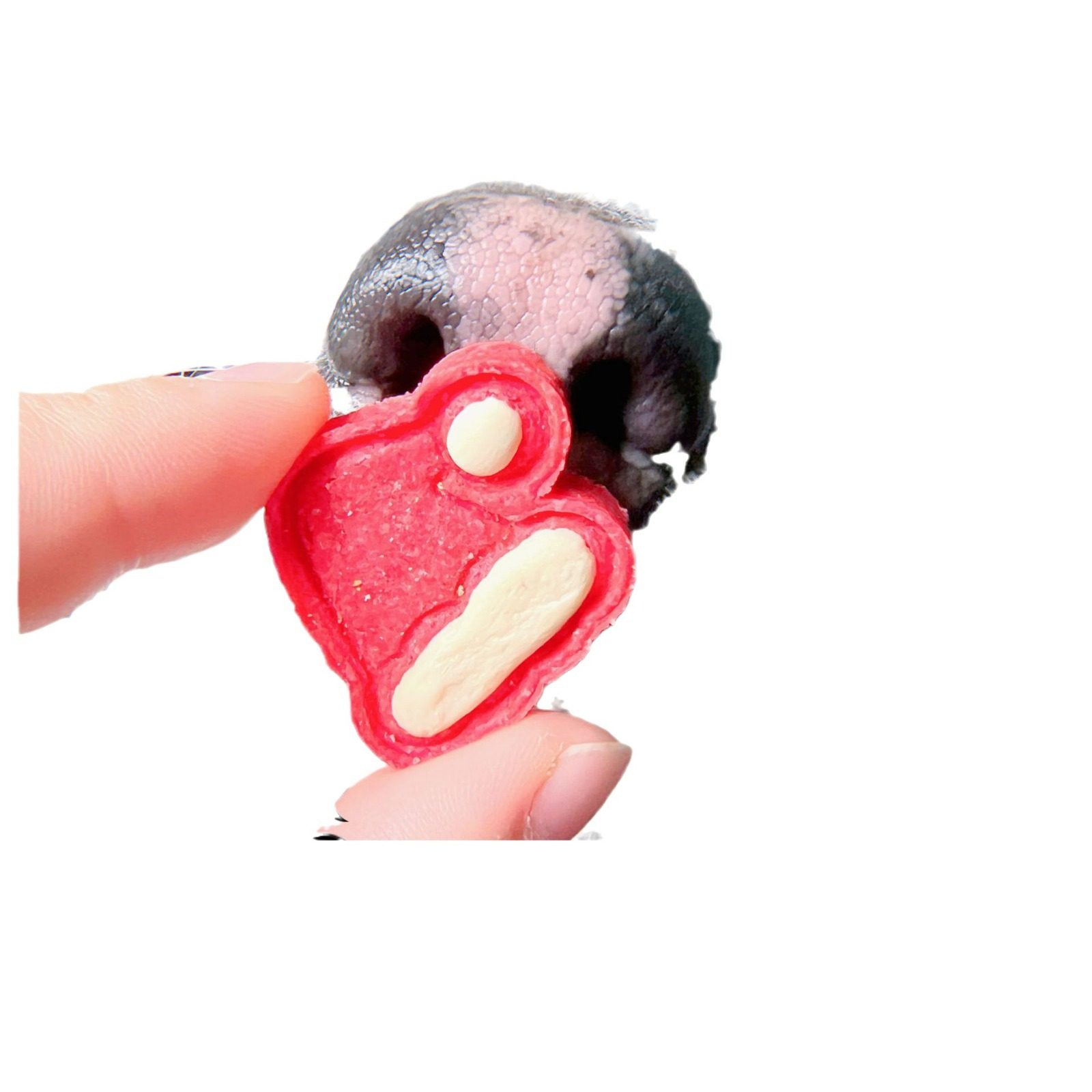 Pet Christmas Biscuits Cat and Dog Rat Tong Chicken Breast Cheese Fruit and Vegetable Powder Homemade Snack Training Reward Chicken