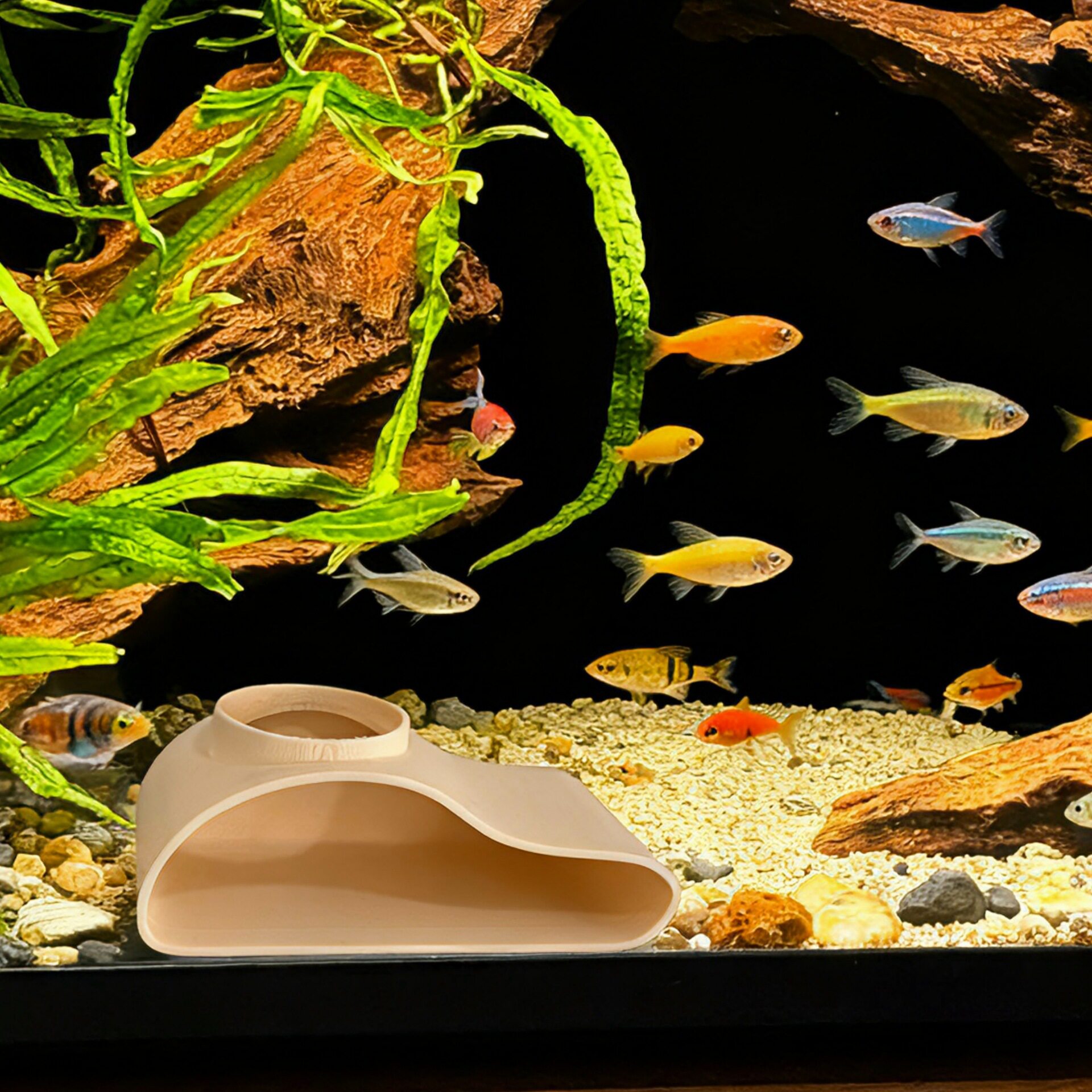 Shrimp and Fish Bottom-Dwelling Single-Hole Underwater Cave Single Hole Fish Watching Tunnel