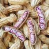 Wholesale new colorful peanuts dried in the sun with shells Yunnan Pu 'er colorful peanuts can be distributed on behalf of 500g