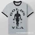 TY36