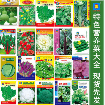Vegetable Seeds Wholesale Bagged Tomato Ginseng Fruit Vegetable Seeds Stall Melon Fruit Rapeseed Original Seeds Factory Wholesale Seeds