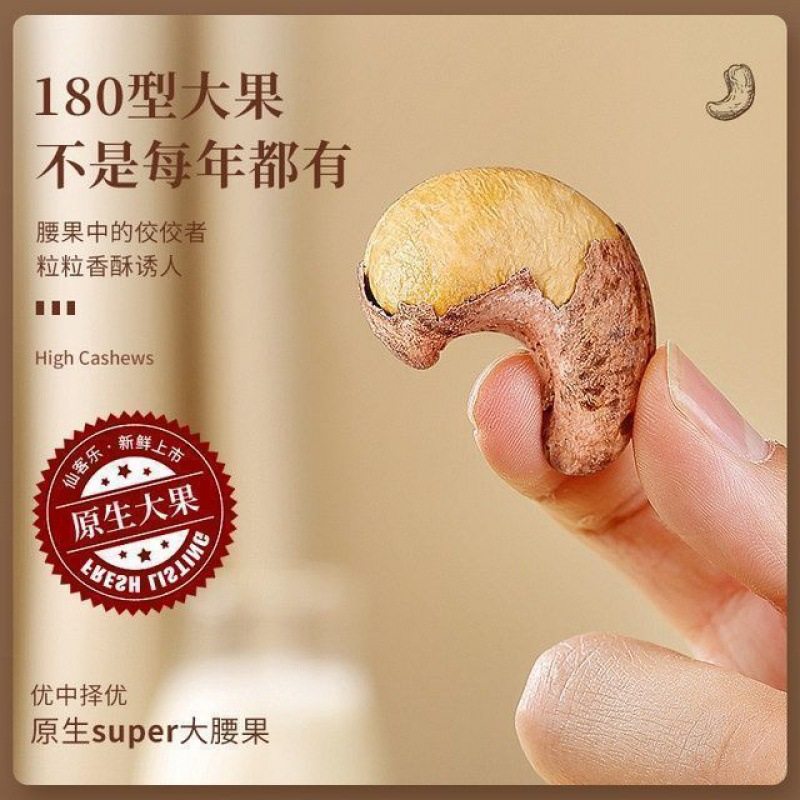 Daily Nut Combination Large Particles Pistachio Pecan Macadamia Nuts Pine Nuts Cashew Nuts Snacks Wholesale