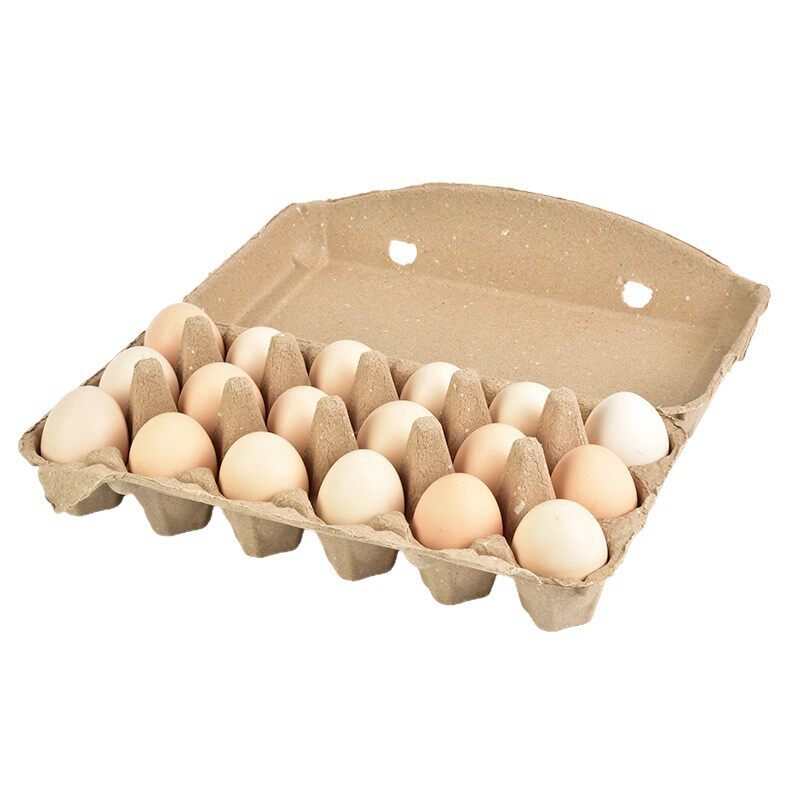 3×6 18-Piece Pulp Egg Tray Disposable Biodegradable Paper Plastic Packaging Box Egg and Duck Egg Sales Packaging Box
