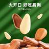 Open Pine Nuts 2023 New Arrival Northeast Premium Extra Large 500g Cream Original Flavor