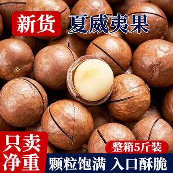 2025 New Arrival Macadamia Nut Creamy Large Particle Milky Nut Dried Fruit Snacks Whole Box Commercial Wholesale