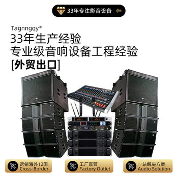Tianlang Audio Dual 8inch Line Array Speakers Cross-Border Foreign Trade Wholesale for Stadium Stage Performances and Banquet Halls with Amplifier Sound System