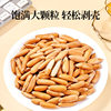 Brazilian Pine Nuts, Hand-Peeled, Long Grain, 500g, New Stock, 2025 Flagship Store Specialty Grade, Large Grain Snacks, Afghan Nuts