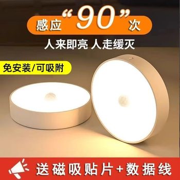 Wireless Magnetic Sensor Lamp Bedroom Wardrobe Ultra-Long Standby Light-Controlled Night Light USB Charging Wardrobe Entrance Light
