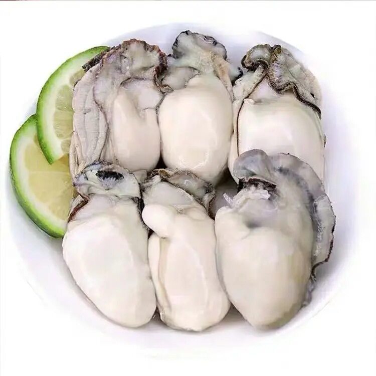 Oyster Meat, Frozen Oyster Meat, Freshly Shucked Oyster Meat, Oyster Meat, Fresh Grilled Oyster Meat