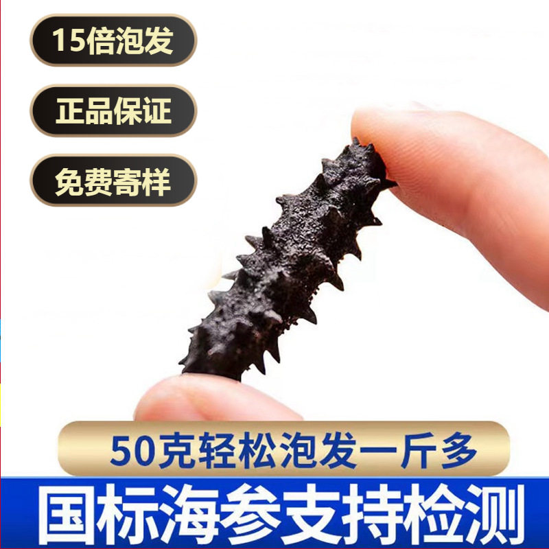 Wholesale Light Dried Sea Cucumber, Small Sea Cucumber, Dried Goods, Light Dried Sea Cucumber, Sea Cucumber, Non-Wild Dalian Sea Cucumber, Ready-To-Eat Sea Nourishing