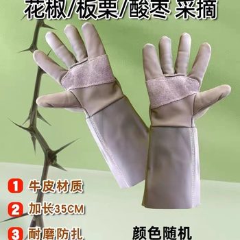 Cowhide anti-piercing gloves anti-tie garden gardening special peeling durian picking chestnut pruning pepper rose gloves