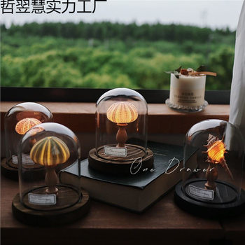 Ocean Island Retro Shell Sea Urchin Conch Lamp Night Light Ornament Handmade Material Pack Holiday Gift Box Ornament