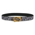 6 gray with seahorse bronze buckle
