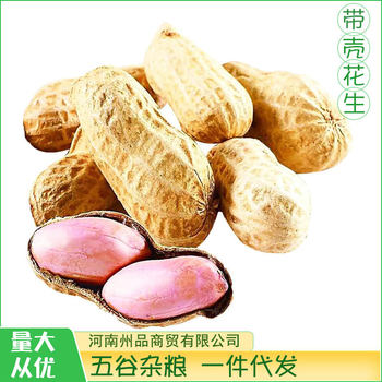 New goods in the season fresh peanut with Shell 500g farm self-planted dried grains raw materials peanut one-piece delivery