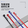Manufacturer Wholesale Self-Locking Sign Tie Anti-Theft Printable Disposable Plastic Seal Nylon Label Adjustable