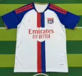 Lyon home ground