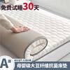 Four-Season Mattress Home Thickened Soft Cushion Student Dormitory Single and Double Memory Foam Sponge Mattress Mattress Bottom