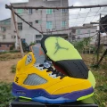 AJ5-red and yellow mandarin duck