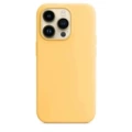 Warm Sun Color [Magnetic Animation+Logo+Box Set]