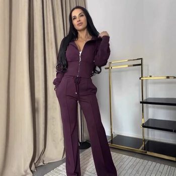 European and American 2025 Spring and Autumn Women's Long-Sleeved Slim Short Two-Piece Set Cross-Border Independent Station Popular Hooded Casual Suit