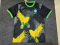 2425 brazilian bird black special edition