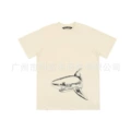 New Apricot Shark