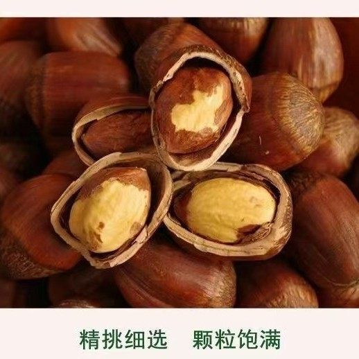 One-Piece Drop-Shipping Hazelnuts from Northeast China, a Specialty of Tie Ling, Roasted Hazelnuts with Original Flavor, Fresh Dried Fruits and Nuts
