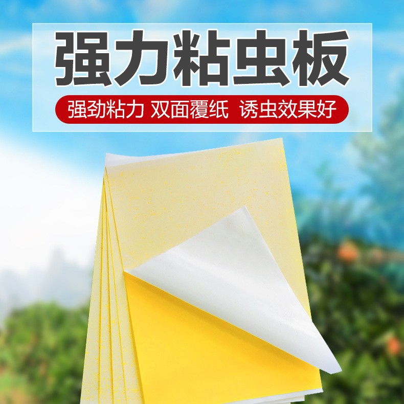 Small yellow board sticky insect board generation support full platform ciphertext
