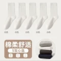 5 Pairs【White 5】