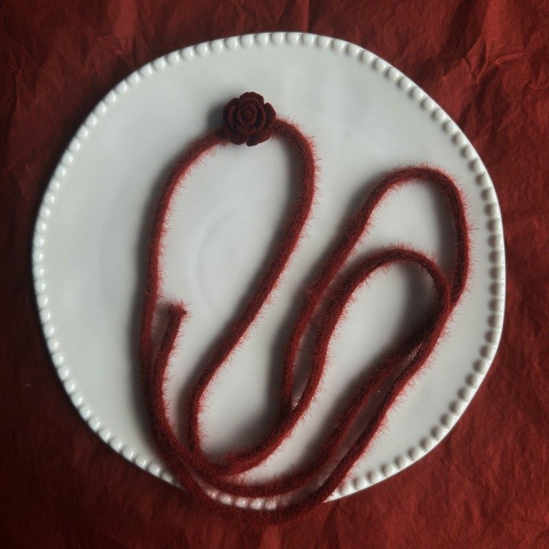 Cross-Border New Product Ankora Red Collar Rose Choker Clavicle Chain Christmas and New Year Necklace for Women