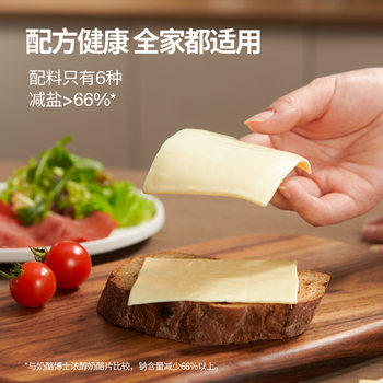 Dr. Cheese Reduced Salt Rich Cheese Slices Nutritious Breakfast Baked Cheese Cheese Slices