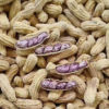 Jianzhi Ren Colorful Peanuts Boiled Salted Dried Yunnan Cooked Peanuts Authentic Fragrant Farm Same Factory Delicious Non-Irritating 500g Bagged
