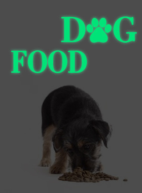 跨境亚马逊新款夜光DOG FOOD墙贴纸荧光绿色自粘装饰发光狗粮墙贴