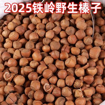 Large Hazelnuts from Northeast China, Fresh Wild Roasted Nuts Snacks, Original Flavor Without Additives, Dried Fruits