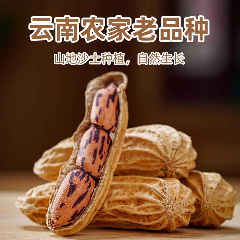 Yunnan New Colorful Peanuts Sun-Dried with Shells Raw and Cooked Colorful Peanuts Wild Field Rice Whole Box Wholesale