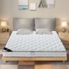 Simmons Mattress Home Spring Mattress Coconut Palm Latex Economical Dormitory Thickeneded Hard Soft Cushion cm Thick