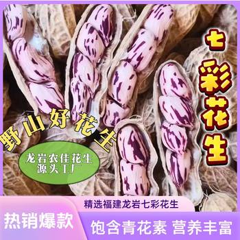 Colorful Roasted Peanuts 500g Hot-Selling Specialty with Tea, Snacks for Watching Dramas, Longyan Peanuts, Nuts and Roasted Seeds
