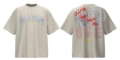 Ts509 gray